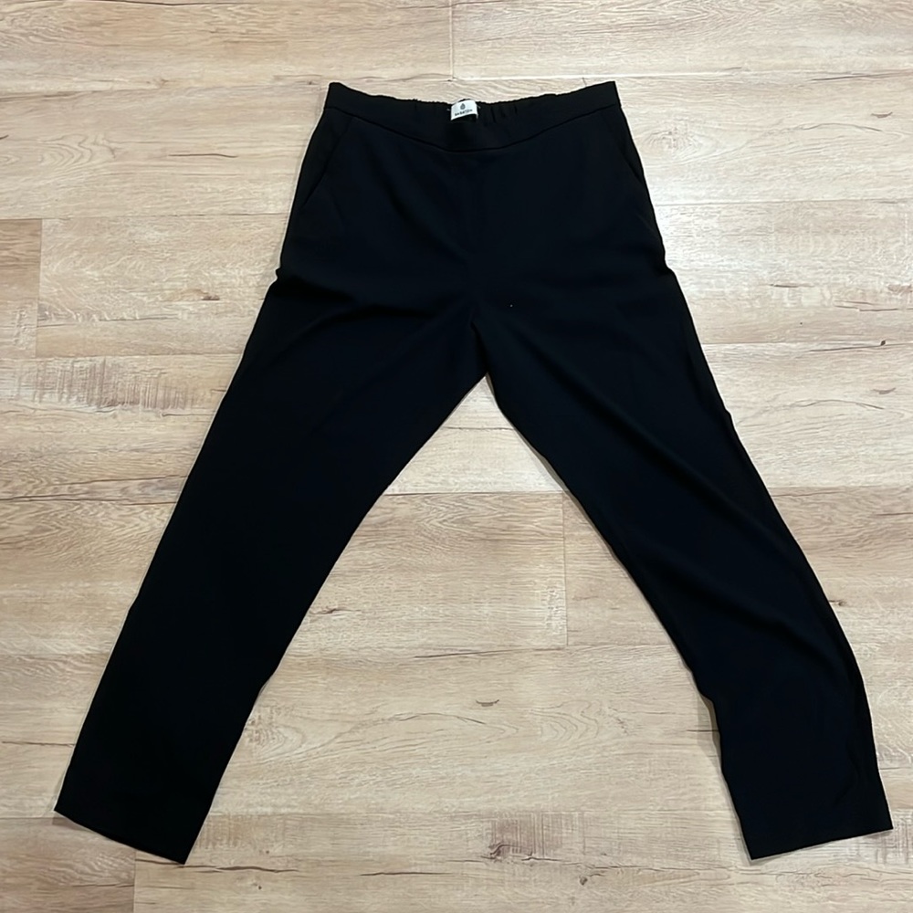 Black Babaton Pant from Aritzia
